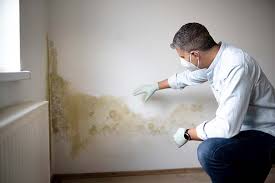 Daleville, VA Mold Remediation Company